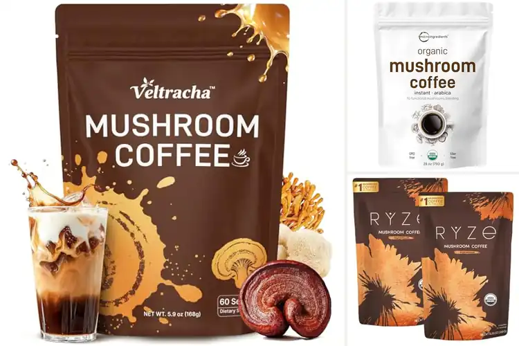 Detailed view of Best Large Coffee Servings